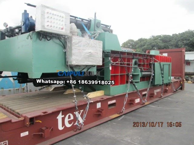 Y81T-250 (2)